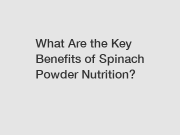 What Are the Key Benefits of Spinach Powder Nutrition?