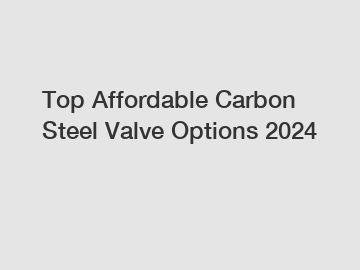 Top Affordable Carbon Steel Valve Options 2024