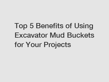 Top 5 Benefits of Using Excavator Mud Buckets for Your Projects