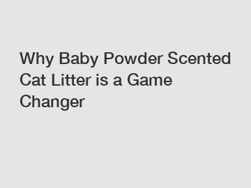 Why Baby Powder Scented Cat Litter is a Game Changer