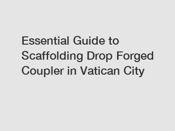Essential Guide to Scaffolding Drop Forged Coupler in Vatican City