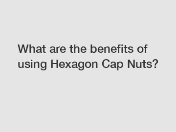 What are the benefits of using Hexagon Cap Nuts?