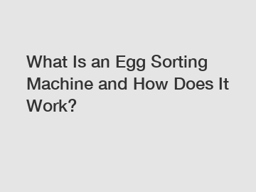 What Is an Egg Sorting Machine and How Does It Work?