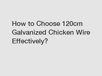 How to Choose 120cm Galvanized Chicken Wire Effectively?