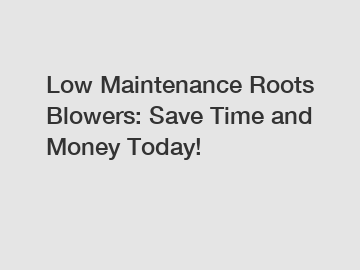 Low Maintenance Roots Blowers: Save Time and Money Today!