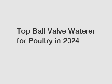 Top Ball Valve Waterer for Poultry in 2024