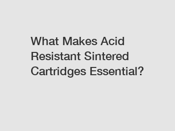 What Makes Acid Resistant Sintered Cartridges Essential?