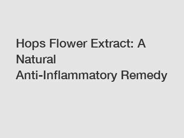 Hops Flower Extract: A Natural Anti-Inflammatory Remedy