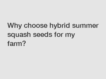 Why choose hybrid summer squash seeds for my farm?