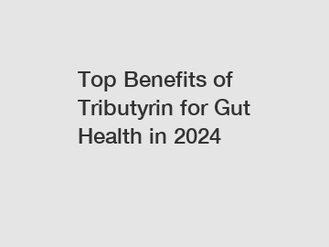 Top Benefits of Tributyrin for Gut Health in 2024