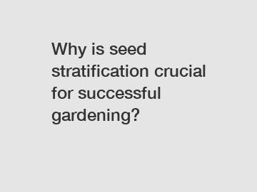 Why is seed stratification crucial for successful gardening?