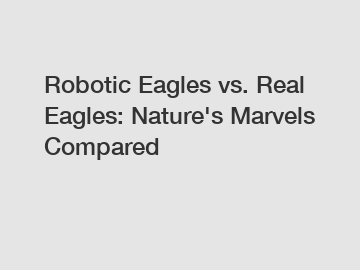 Robotic Eagles vs. Real Eagles: Nature's Marvels Compared