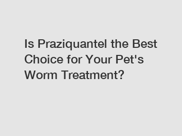 Is Praziquantel the Best Choice for Your Pet's Worm Treatment?