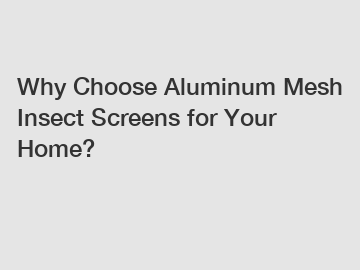 Why Choose Aluminum Mesh Insect Screens for Your Home?