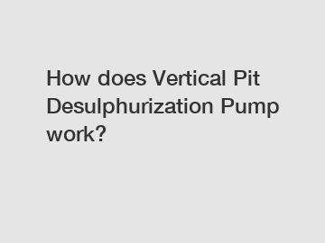 How does Vertical Pit Desulphurization Pump work?