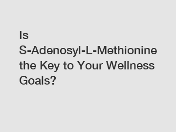 Is S-Adenosyl-L-Methionine the Key to Your Wellness Goals?