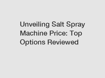 Unveiling Salt Spray Machine Price: Top Options Reviewed