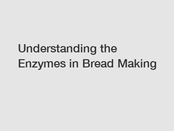 Understanding the Enzymes in Bread Making