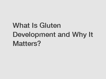 What Is Gluten Development and Why It Matters?