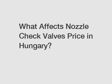 What Affects Nozzle Check Valves Price in Hungary?