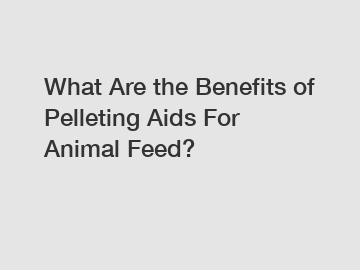 What Are the Benefits of Pelleting Aids For Animal Feed?