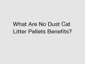 What Are No Dust Cat Litter Pellets Benefits?