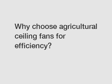 Why choose agricultural ceiling fans for efficiency?