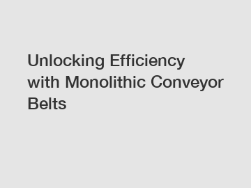 Unlocking Efficiency with Monolithic Conveyor Belts