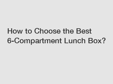 How to Choose the Best 6-Compartment Lunch Box?