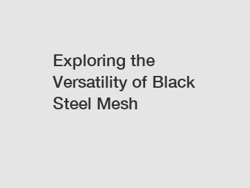 Exploring the Versatility of Black Steel Mesh