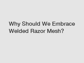 Why Should We Embrace Welded Razor Mesh?