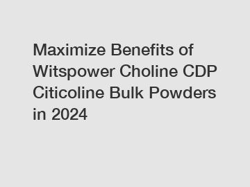 Maximize Benefits of Witspower Choline CDP Citicoline Bulk Powders in 2024