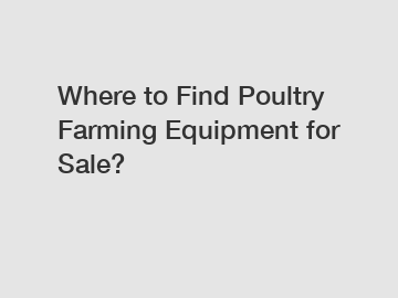 Where to Find Poultry Farming Equipment for Sale?