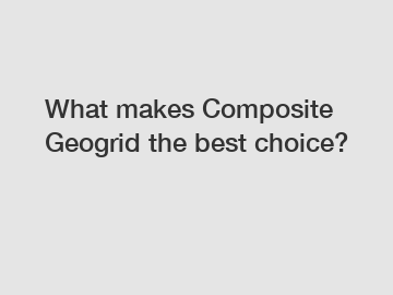 What makes Composite Geogrid the best choice?