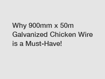 Why 900mm x 50m Galvanized Chicken Wire is a Must-Have!