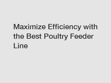 Maximize Efficiency with the Best Poultry Feeder Line