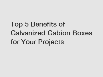 Top 5 Benefits of Galvanized Gabion Boxes for Your Projects