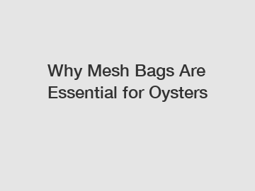 Why Mesh Bags Are Essential for Oysters Why Mesh Bags Are Essential for Oysters