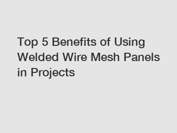 Top 5 Benefits of Using Welded Wire Mesh Panels in Projects