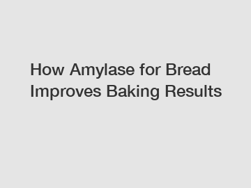 How Amylase for Bread Improves Baking Results