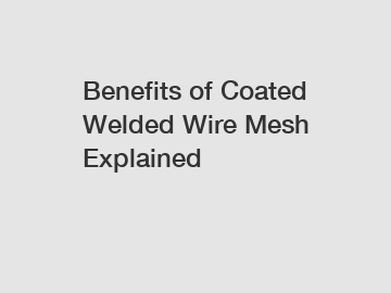 Benefits of Coated Welded Wire Mesh Explained Benefits of Coated Welded Wire Mesh Explained