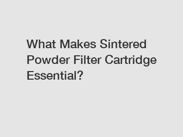 What Makes Sintered Powder Filter Cartridge Essential?