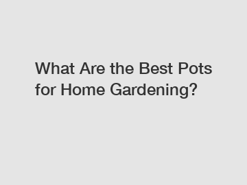 What Are the Best Pots for Home Gardening?