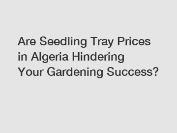 Are Seedling Tray Prices in Algeria Hindering Your Gardening Success?