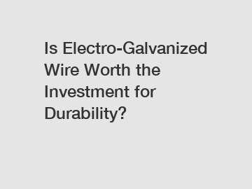 Is Electro-Galvanized Wire Worth the Investment for Durability?