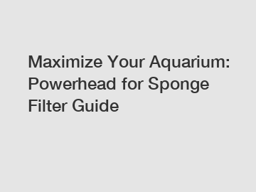 Maximize Your Aquarium: Powerhead for Sponge Filter Guide