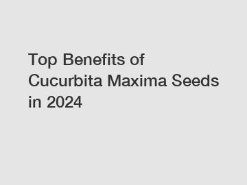 Top Benefits of Cucurbita Maxima Seeds in 2024