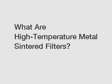 What Are High-Temperature Metal Sintered Filters? What Are High-Temperature Metal Sintered Filters?