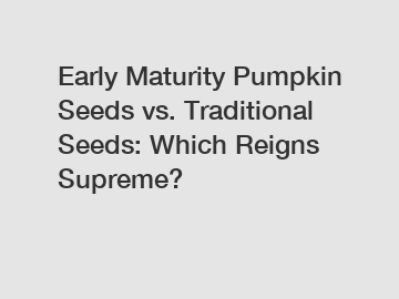 Early Maturity Pumpkin Seeds vs. Traditional Seeds: Which Reigns Supreme?