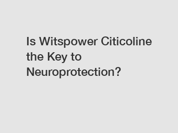 Is Witspower Citicoline the Key to Neuroprotection?
